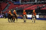 Quadrille - 00035